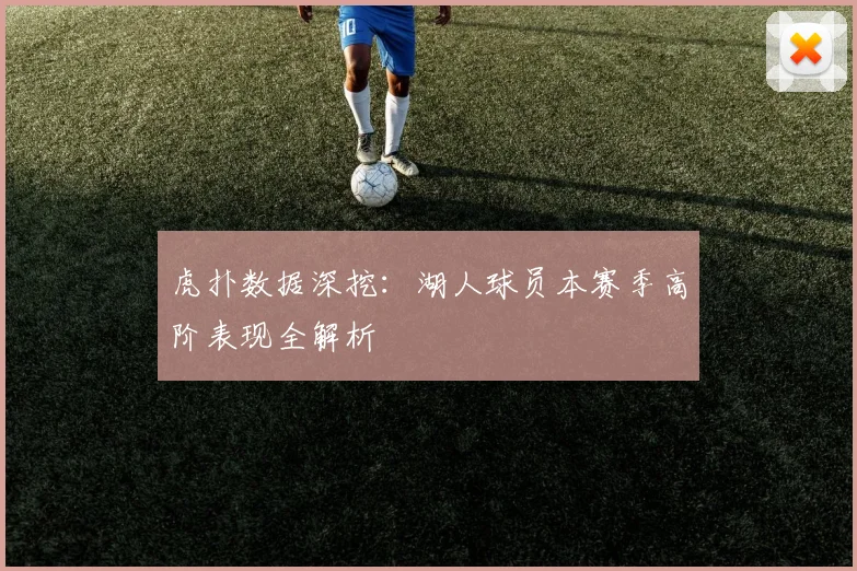 虎扑数据深挖：湖人球员本赛季高阶表现全解析